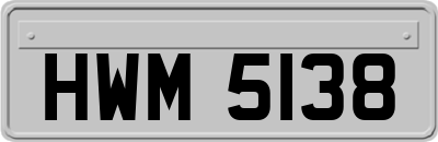 HWM5138