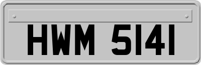 HWM5141