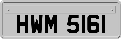 HWM5161