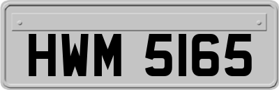 HWM5165