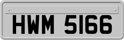 HWM5166