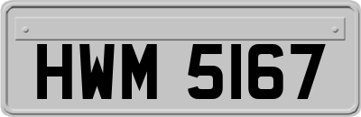 HWM5167