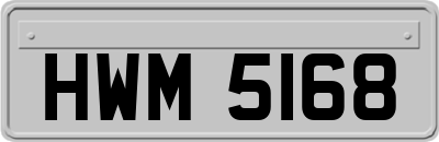 HWM5168