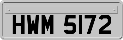 HWM5172