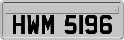 HWM5196