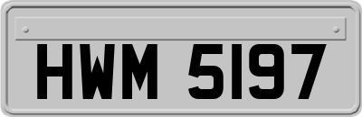 HWM5197
