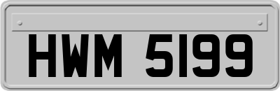 HWM5199