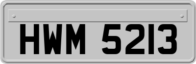 HWM5213