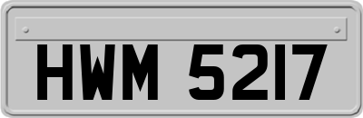 HWM5217