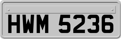 HWM5236