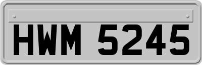HWM5245