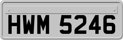 HWM5246