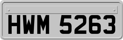 HWM5263