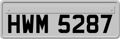 HWM5287