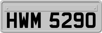 HWM5290