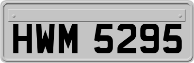 HWM5295