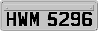 HWM5296
