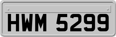 HWM5299