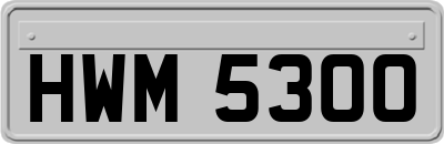 HWM5300