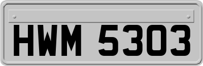HWM5303