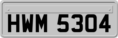 HWM5304
