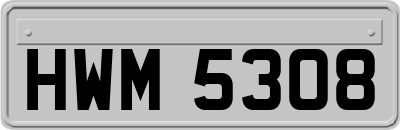 HWM5308