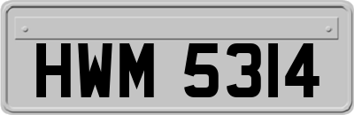 HWM5314