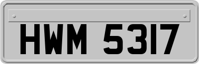 HWM5317