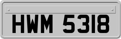 HWM5318