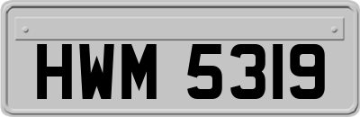 HWM5319