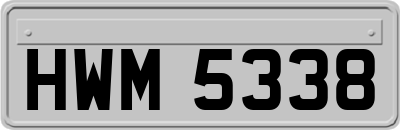 HWM5338