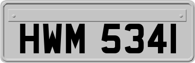HWM5341