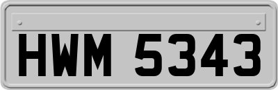 HWM5343