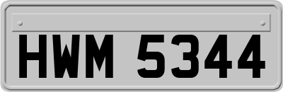 HWM5344