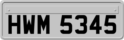 HWM5345