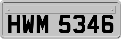 HWM5346