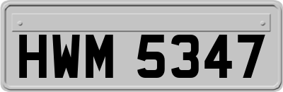 HWM5347