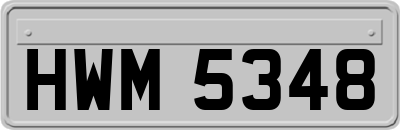 HWM5348