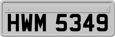 HWM5349