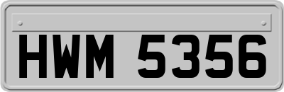 HWM5356