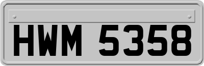 HWM5358