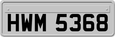 HWM5368