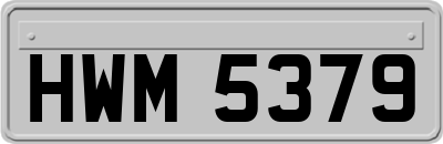 HWM5379