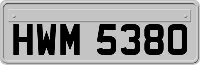 HWM5380