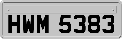 HWM5383