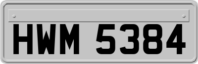 HWM5384