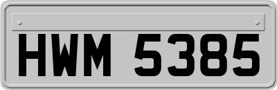 HWM5385