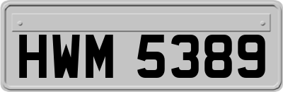 HWM5389