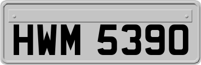 HWM5390