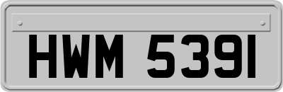 HWM5391
